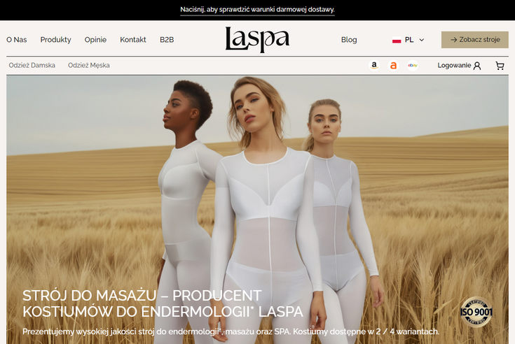 https://laspa24.com